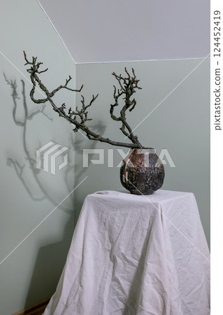 Minimalist Bonsai Branch in Ceramic Pot 124452419