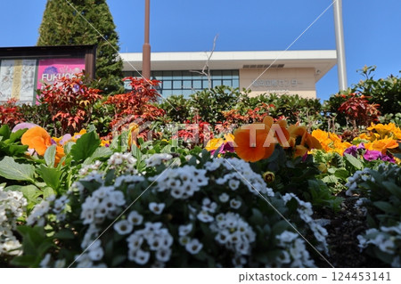 Fukuoka International Center 124453141