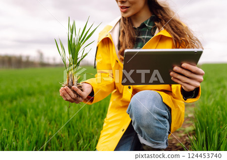 A young farmer woman in a green field, intently using a tablet. The concept of technology, gardening 124453740