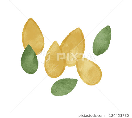Pumpkin seeds 124453780