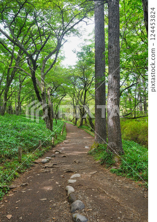 戰場原（栃木縣日光市） 124453824