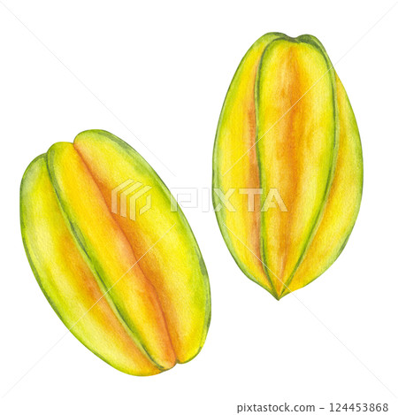 Watercolor whole Starfruit set. Yellow tropical Averrhoa carambola or Bilimbi. Botanical exotic star apple. Hand drawn illustration isolated white background. For menu, recipes, logo, package design. 124453868