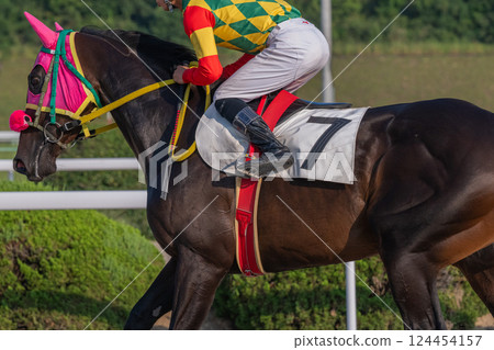 賽馬風光 賽馬風光 124454157