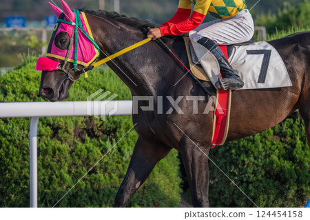 賽馬風光 賽馬風光 124454158