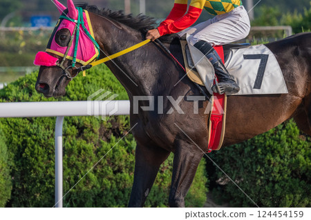 賽馬風光 賽馬風光 124454159