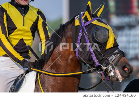 賽馬風光 賽馬風光 124454160