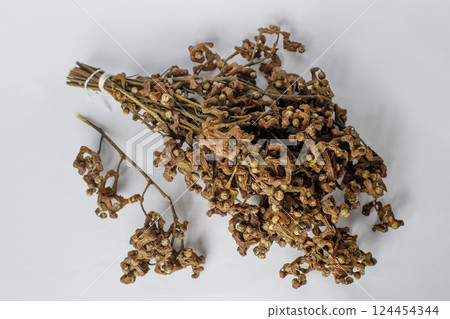 Hovenia dulcis or the oriental raisin tree traditionally used in East Asian medicine  124454344