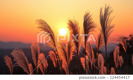 秋日傍晚 — — 銀草的背光剪影 124454417