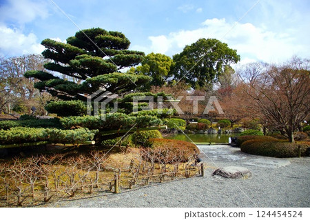 Kyoto Prefecture, Toji Temple Garden, Gourd Pond, Kujo-cho, Minami-ku, Kyoto City, February 2022 124454524
