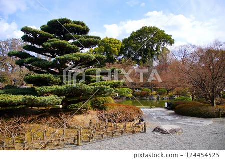 Kyoto Prefecture, Toji Temple Garden, Gourd Pond, Kujo-cho, Minami-ku, Kyoto City, February 2022 Kyoto Prefecture, Toji Temple Garden, Gourd Pond, Kujo-cho, Minami-ku, Kyoto City, February 2022 124454525