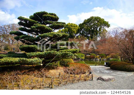 Kyoto Prefecture, Toji Temple Garden, Gourd Pond, Kujo-cho, Minami-ku, Kyoto City, February 2022 124454526