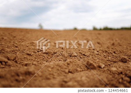 Close-up of black soil. Agriculture, soil before sowing. Fertile land texture, rural field landscape Close-up of black soil. Agriculture, soil before sowing. Fertile land texture, rural field landscape 124454661