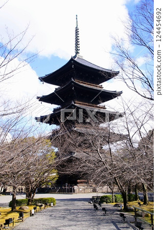 京都府東寺/五層塔(國寶)京都市南區九條町 2022 年 2 月 京都府東寺/五層塔(國寶)京都市南區九條町 2022 年 2 月 124454692
