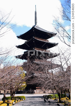 京都府東寺/五層塔(國寶)京都市南區九條町 2022 年 2 月 京都府東寺/五層塔(國寶)京都市南區九條町 2022 年 2 月 124454693