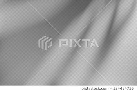 Abstract shadow overlay from foliage on a transparent background. Abstract shadow overlay from foliage on a transparent background. 124454736