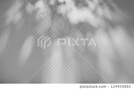Abstract shadow overlay from foliage on a transparent background. Abstract shadow overlay from foliage on a transparent background. 124454883