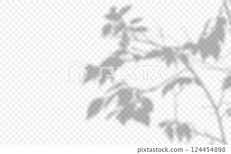 Shadow overlay from a tree branch isolated on a transparent background. 124454898