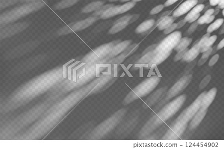 Abstract shadow overlay from foliage on a transparent background. Abstract shadow overlay from foliage on a transparent background. 124454902