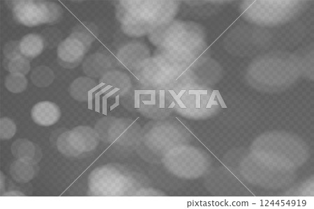 Abstract shadow overlay from foliage on a transparent background. 124454919