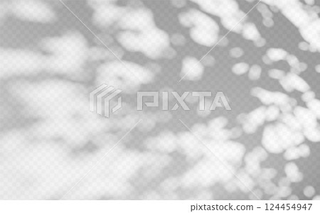 Abstract shadow overlay from foliage on a transparent background. 124454947