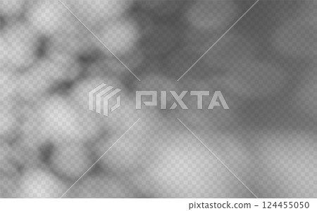 Abstract shadow overlay from foliage on a transparent background. 124455050