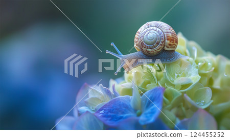繡球花蕾和等待綻放的小蝸牛 124455252