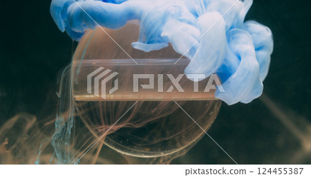 Water ink smoke. Globe texture. Defocused blue color paint fume splash geometric round liquid on abstract art dark black background. 124455387