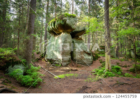 Stolowe Mountains National Park, Poland Stolowe Mountains National Park, Poland 124455759