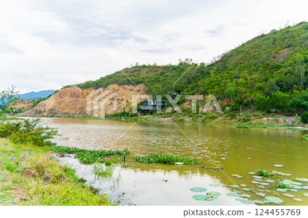 A green pond in the tropics. A green pond in the tropics. 124455769