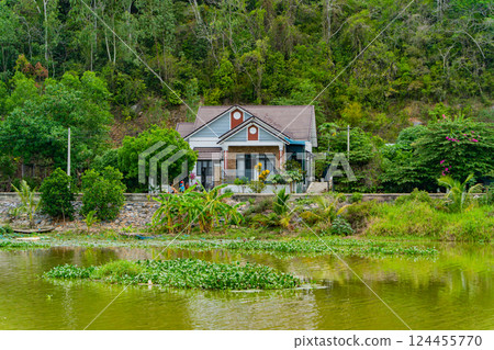 A green pond in the tropics.  124455770