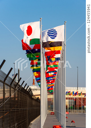 International flags near the Osaka Kansai Expo International flags near the Osaka Kansai Expo 124455941