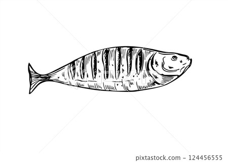 Vector whole fish grilled on charcoal grate line ink illustration in black and white. Monochrome perch, roach or zander graphic sketch for fishing blogs, eco labels and rustic menu design. 124456555
