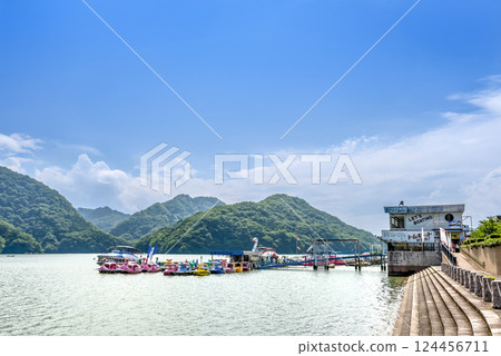 Summer Lake Sagami, Swan Boat, Kanagawa Prefecture 124456711