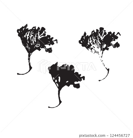 Silhouette of dry lichen. Boho minimalist floral element Silhouette of dry lichen. Boho minimalist floral element 124456727