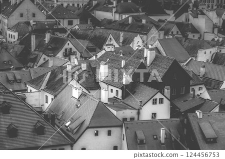 Roofs of Czech Krumlov buildings 124456753