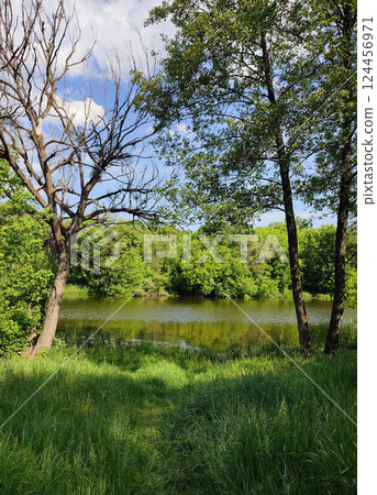 Trees with green leaves, bushes with green leaves and green grass on the river bank and blue sky with white clouds on a sunny spring day. Nature. Natural background Trees with green leaves, bushes with green leaves and green grass on the river bank and blue sky with white clouds on a sunny spring day. Nature. Natural background 124456971