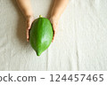Blue Papaya 124457465