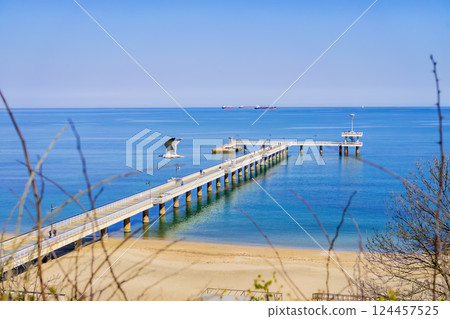 BURGAS, BULGARIA - MARCH 21, 2025: Long seaside pier stretches in calm blue sea with flying seagull above peaceful coastal horizon. Sea view blends architecture, nature, freedom in travel composition BURGAS, BULGARIA - MARCH 21, 2025: Long seaside pier stretches in calm blue sea with flying seagull above peaceful coastal horizon. Sea view blends architecture, nature, freedom in travel composition 124457525