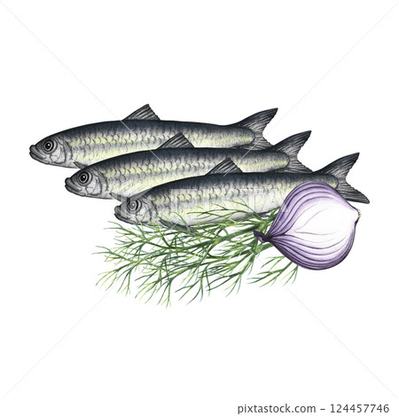 Sardines with dill and onion. Hand-drawn watercolor illustration. A color image of a fish dish. Separate from the background. Great for menus, recipe books, packages, labels, invitations. 124457746