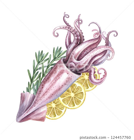 Whole squid with lemon and rosemary. A hand-drawn watercolor illustration. Color image of seafood. For menus, recipes, packages, labels and invitation flyers. 124457760