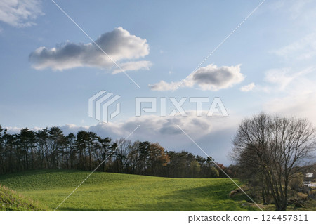 Spring sprouts in the grove at Koiwai Farm in Iwate Prefecture Early spring sky, clouds, pasture and trees Spring sprouts in the grove at Koiwai Farm in Iwate Prefecture Early spring sky, clouds, pasture and trees 124457811