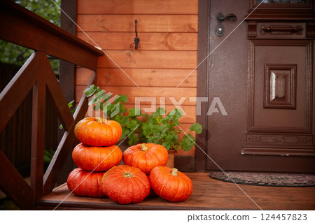 Stack of large orange pumpkins Near the door of the house. Autumn harvest and Halloween home decor. Copy space 124457823