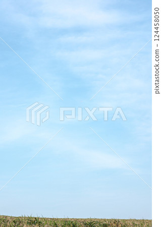 刷新的藍天和草甸 刷新的藍天和草甸 124458050