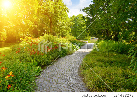 Bright sunrise, beautiful flowers and trees in the park Bright sunrise, beautiful flowers and trees in the park 124458275
