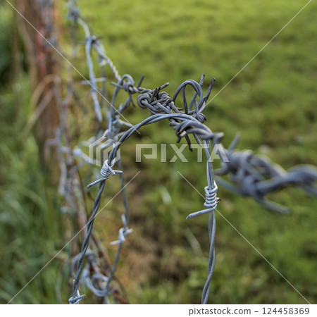 crisscrossed barbed wire 124458369