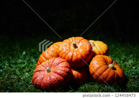 A stack of large orange pumpkins on the green grass at night. Autumn harvest, Halloween. A stack of large orange pumpkins on the green grass at night. Autumn harvest, Halloween. 124458473