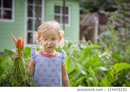smiling child in the summer on a garden plot with an armful of carrots in his hands. 124459282