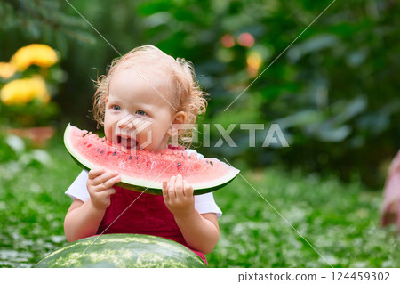 Curly-haired toddler eating watermelon while sitting on green grass in a garden with flowers on a summer day. 124459302