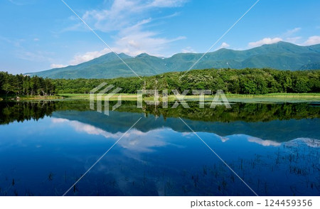 夏日的知床五湖 - 世界自然遺產北海道絕景 124459356