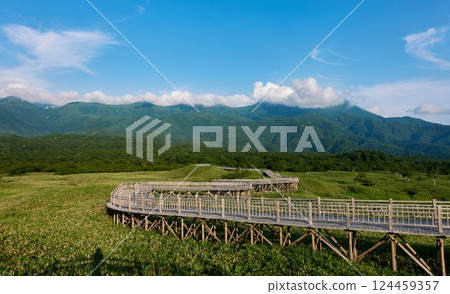 Shiretoko Five Lakes Elevated Boardwalk in Summer - A Scenic Route Through Hokkaido's Great Nature 124459357